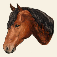 Horse Vintage Tee | Teevron