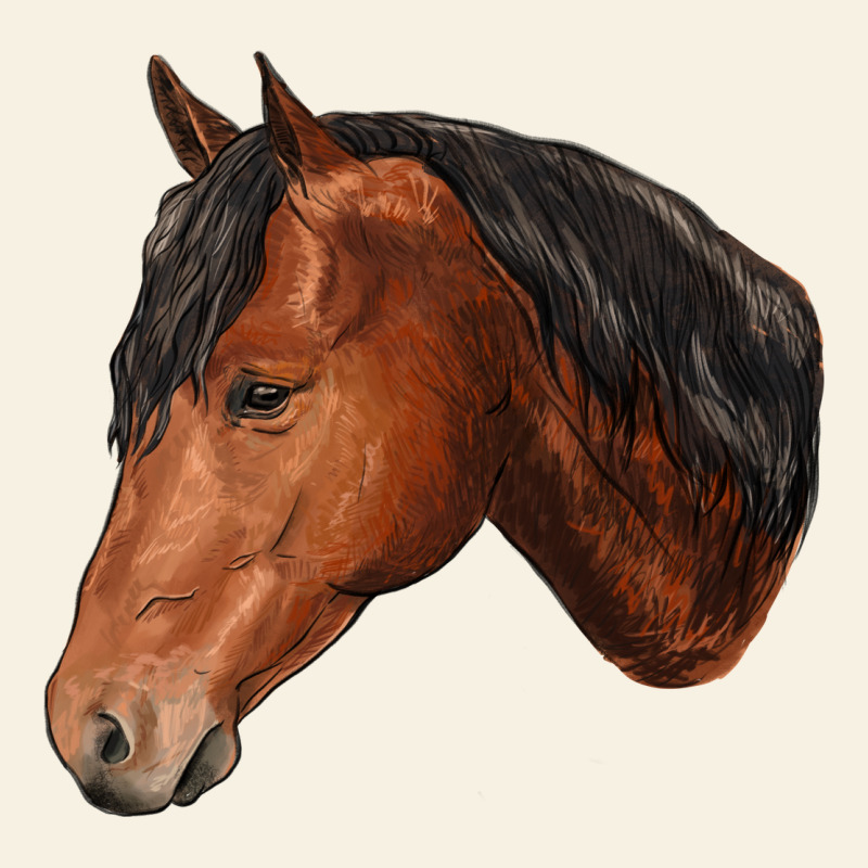 Horse Vintage Tee by RanaPortraitStore | Teevron