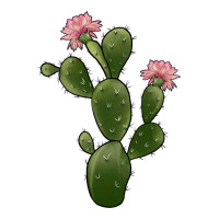 cactus 2 | Teevron