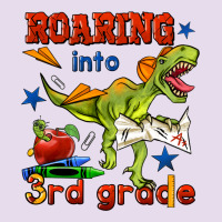 Roaring Into 3rd Grade Premium Hoodie | Teevron