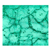 green glitter | Teevron
