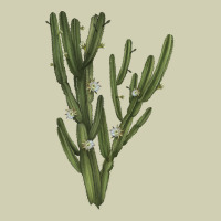 Cereus Jamacaru Heavy Core Tee | Teevron