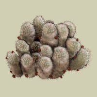 Brown Flowered Cactus Heavy Core Tee | Teevron
