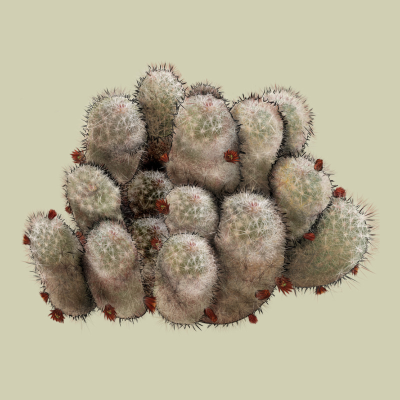 Brown Flowered Cactus Heavy Core Tee by LillyAllenDesigns | Teevron