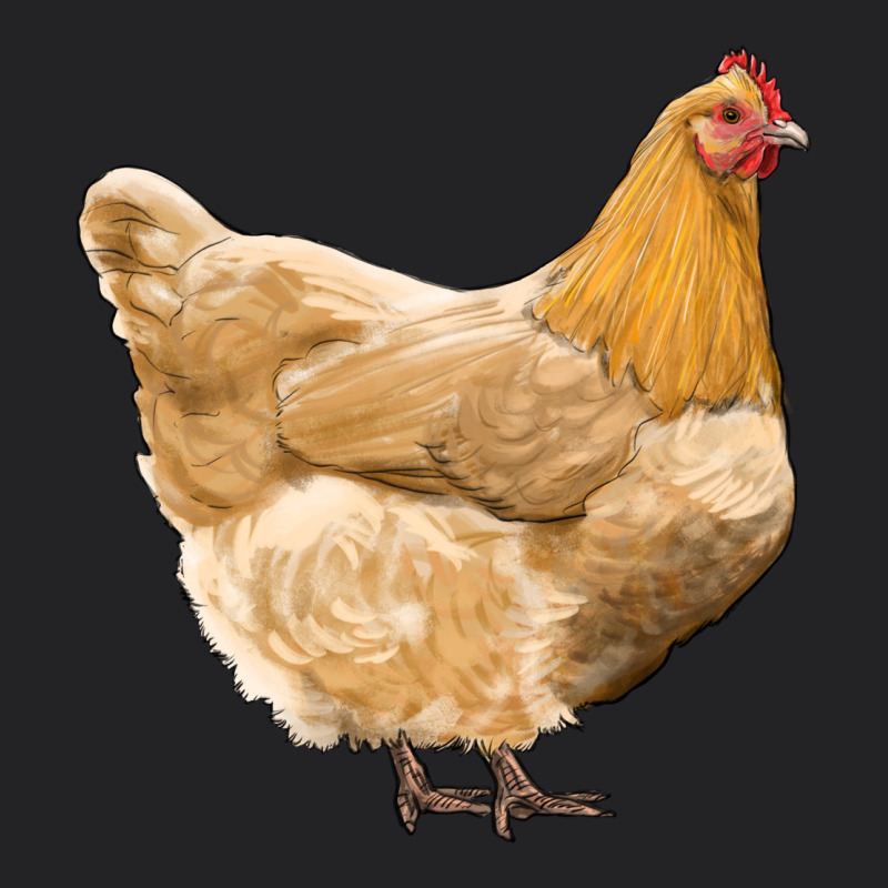 Chicken Vintage Tee by RanaPortraitStore | Teevron