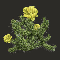 Whipple Cholla Cactus Heavy Core Tee | Teevron