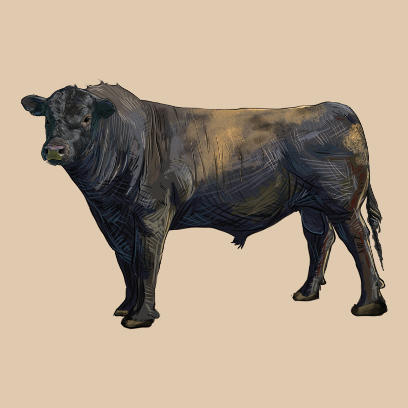 Black Angus Bull Heavyweight Sweatshirt by RanaPortraitStore | Teevron