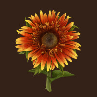The  Sunflower Heavy Core Tee | Teevron