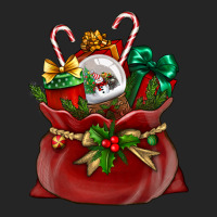 Christmas Santa Claus Bag Premium Hoodie | Teevron