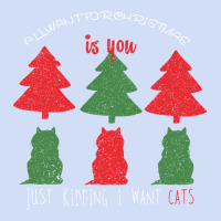 All Want For Christmas Is You Just Kidding I Want Cats Urban Hoodie | Teevron