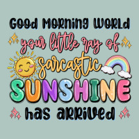 Good Morning World Your Little Ray Of Sarcastic Premium Sweatshirt | Teevron