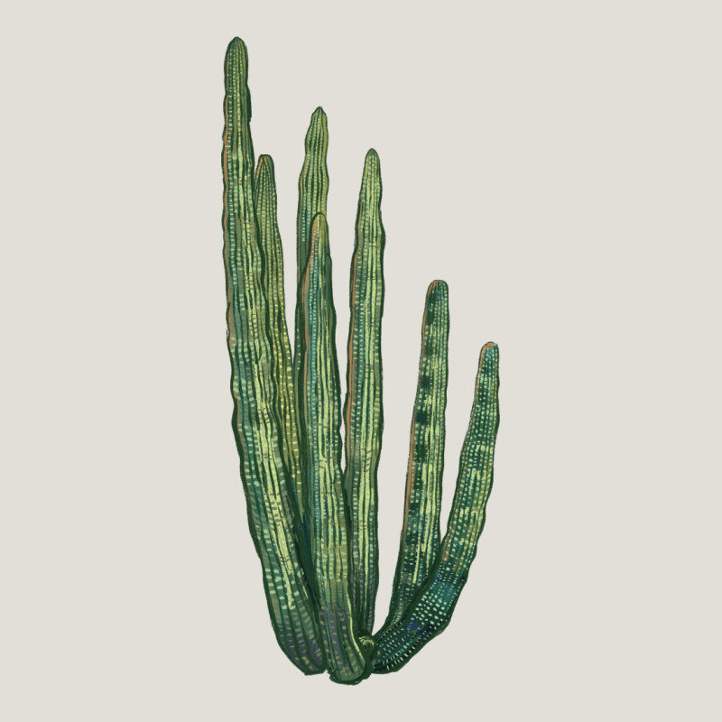 Organ Pipe Cactus Heavy Core Tee by LillyAllenDesigns | Teevron