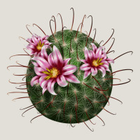Arizona Fishhook Cactus Heavy Core Tee | Teevron