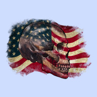 Red White Rawr 4th Of July Urban Heavy Tee | Teevron