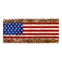 usa flag leopard | Teevron