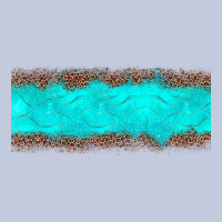 Turquoise Leopard Long Sleeve Tee | Teevron