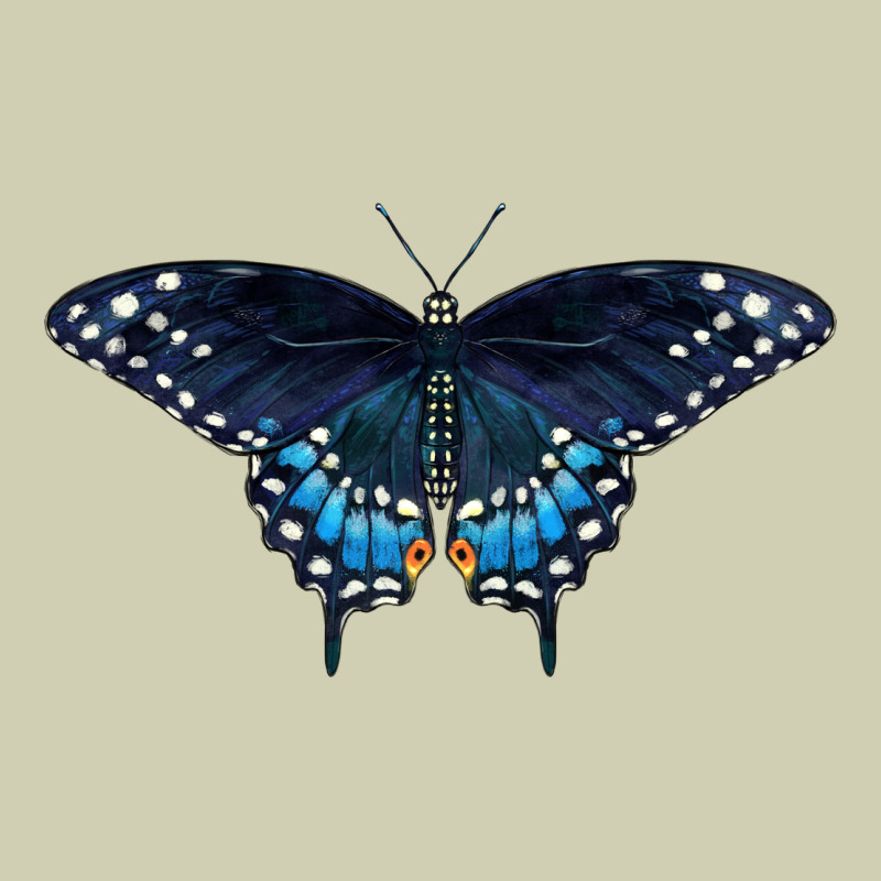 Black Swallowtail Butterfly Heavy Core Tee by LillyAllenDesigns | Teevron