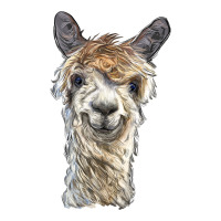alpaca | Teevron