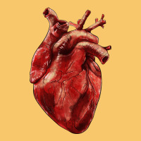 Anatomical Heart Vintage Hoodie | Teevron