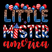 Little Mister America Heavyweight Sweatshirt | Teevron