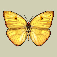 Cloudless Sulphur Butterfly Heavy Core Tee | Teevron