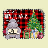 I Want A Hippopotamus Urban Hoodie | Teevron