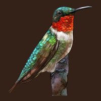 Ruby Throated Hummingbird Bird Heavy Core Tee | Teevron