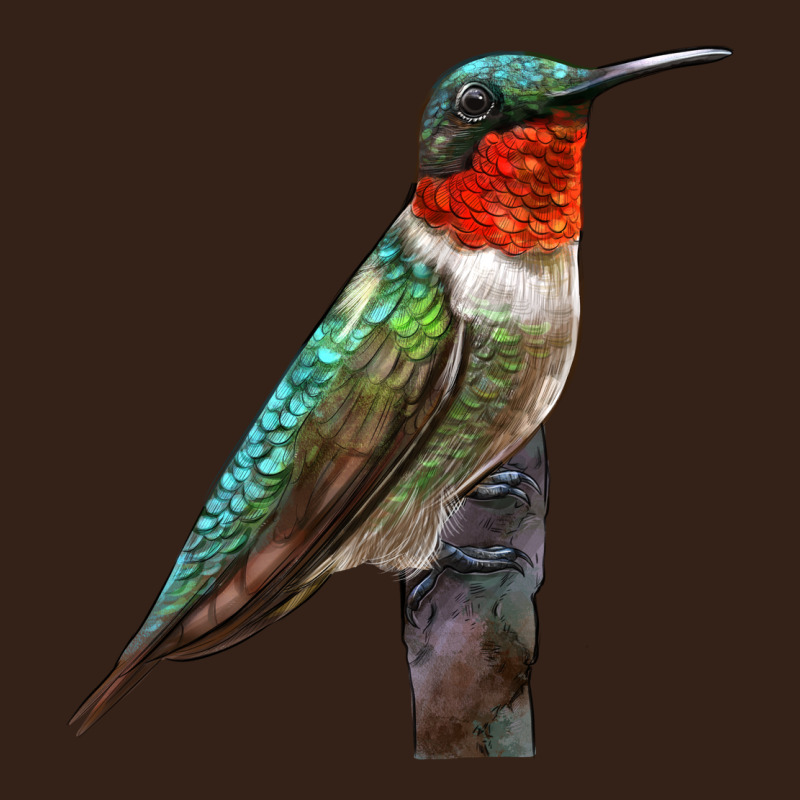 Ruby Throated Hummingbird Bird Heavy Core Tee by LillyAllenDesigns | Teevron