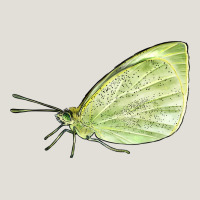 Cabbage White Butterfly Heavy Core Tee | Teevron