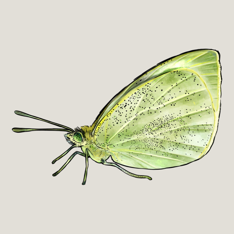 Cabbage White Butterfly Heavy Core Tee by LillyAllenDesigns | Teevron