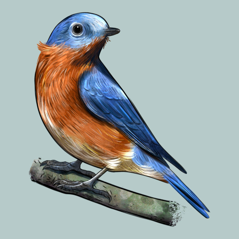Eastern Bluebird Heavy Core Tee by LillyAllenDesigns | Teevron