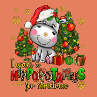 I Want A Hippopotamus For Christmas Classic Tee | Teevron