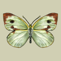 Cabbage Butterfly Heavy Core Tee | Teevron