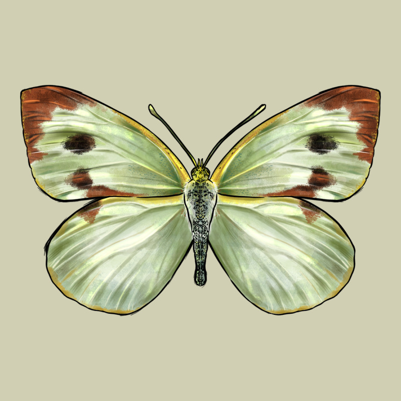 Cabbage Butterfly Heavy Core Tee by LillyAllenDesigns | Teevron