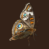 Flying Common Buckeye Butterfly Heavy Core Tee | Teevron