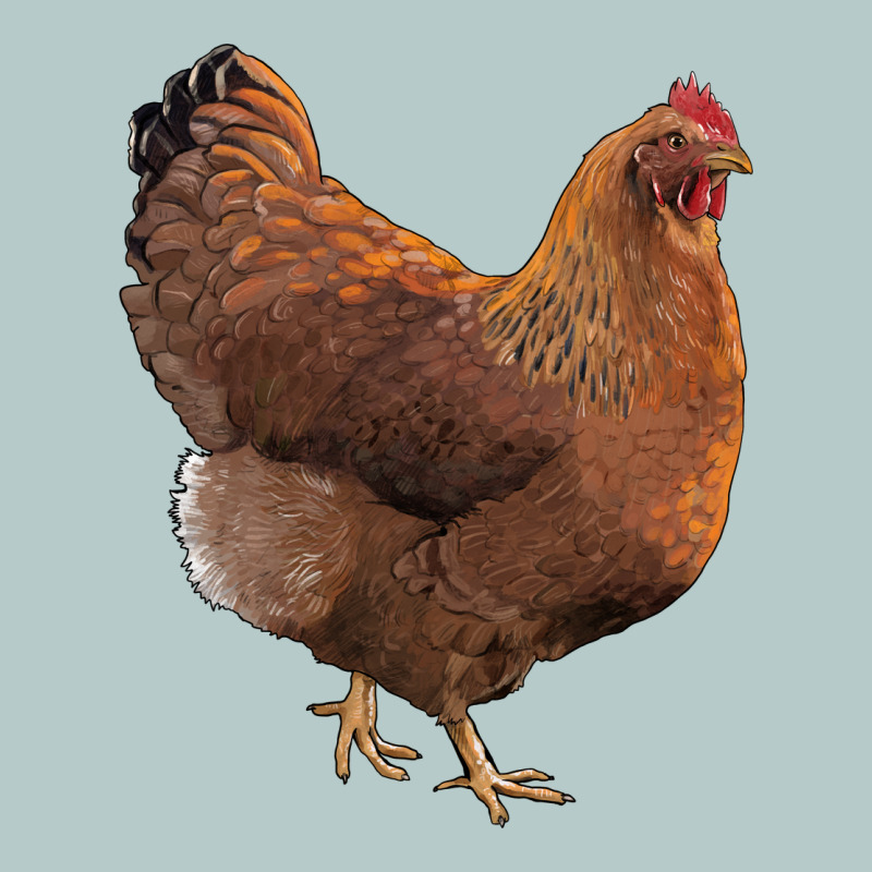 New Hampshire Red Chicken Heavy Core Tee by LillyAllenDesigns | Teevron