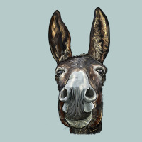 Donkey  Face Heavy Core Tee | Teevron