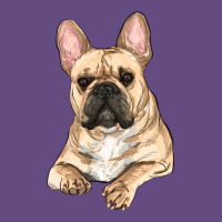 French Bulldog Sitting Vintage Hoodie | Teevron