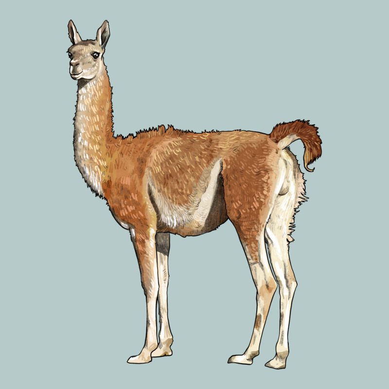 Guanaco Llama Heavy Core Tee by LillyAllenDesigns | Teevron