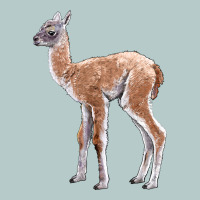 Guanaco Llama Baby Heavy Core Tee | Teevron