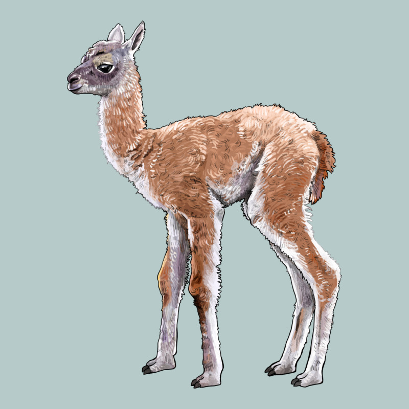 Guanaco Llama Baby Heavy Core Tee by LillyAllenDesigns | Teevron