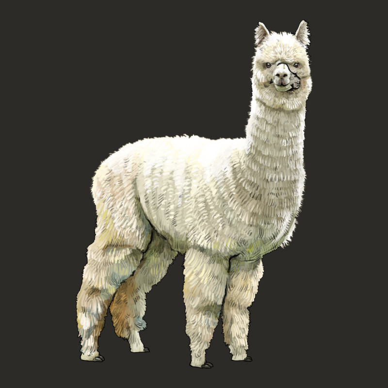 Alpaca Heavy Core Tee by LillyAllenDesigns | Teevron