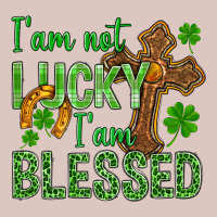 I Am Not Lucky I Am Blessed St. Patricks Premium Hoodie | Teevron