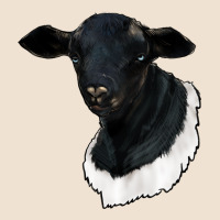 Dorper Sheep Urban Hoodie | Teevron