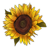 sunflower | Teevron