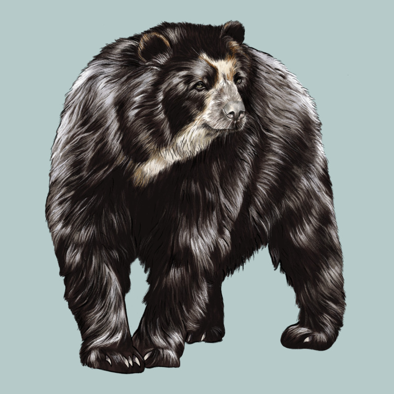 Spectacled Bear Heavy Core Tee by LillyAllenDesigns | Teevron