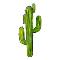 cactus | Teevron