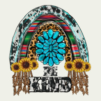 Western Rainbow  Be Kind Urban Heavy Tee | Teevron