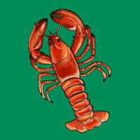 Crawfish Urban Hoodie | Teevron