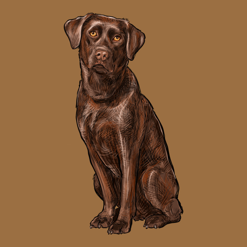 Labrador Retriever Vintage Tee by RanaPortraitStore | Teevron